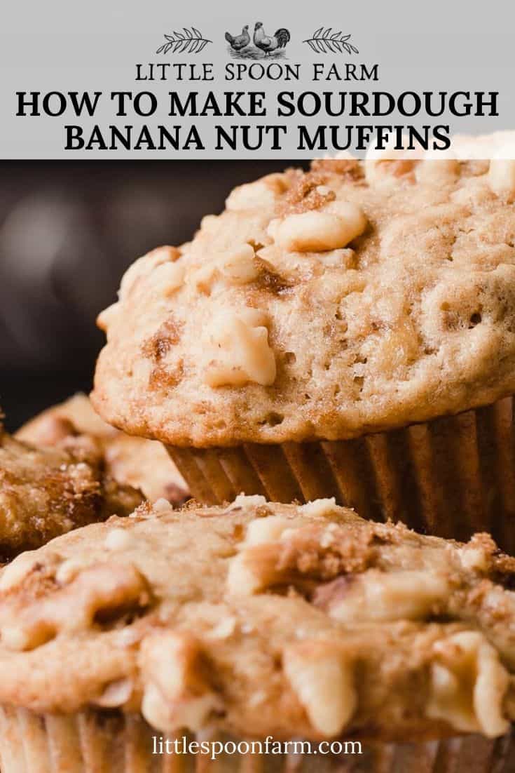 Sourdough Banana Nut Muffins Little Spoon Farm