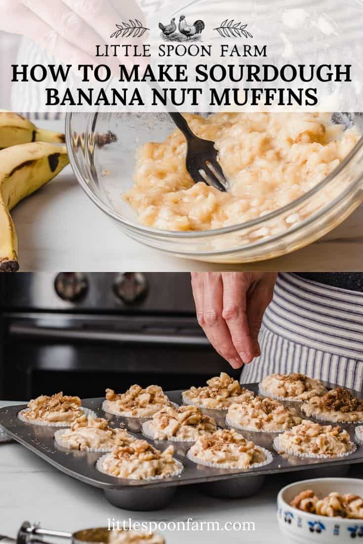 Sourdough Banana Nut Muffins Little Spoon Farm