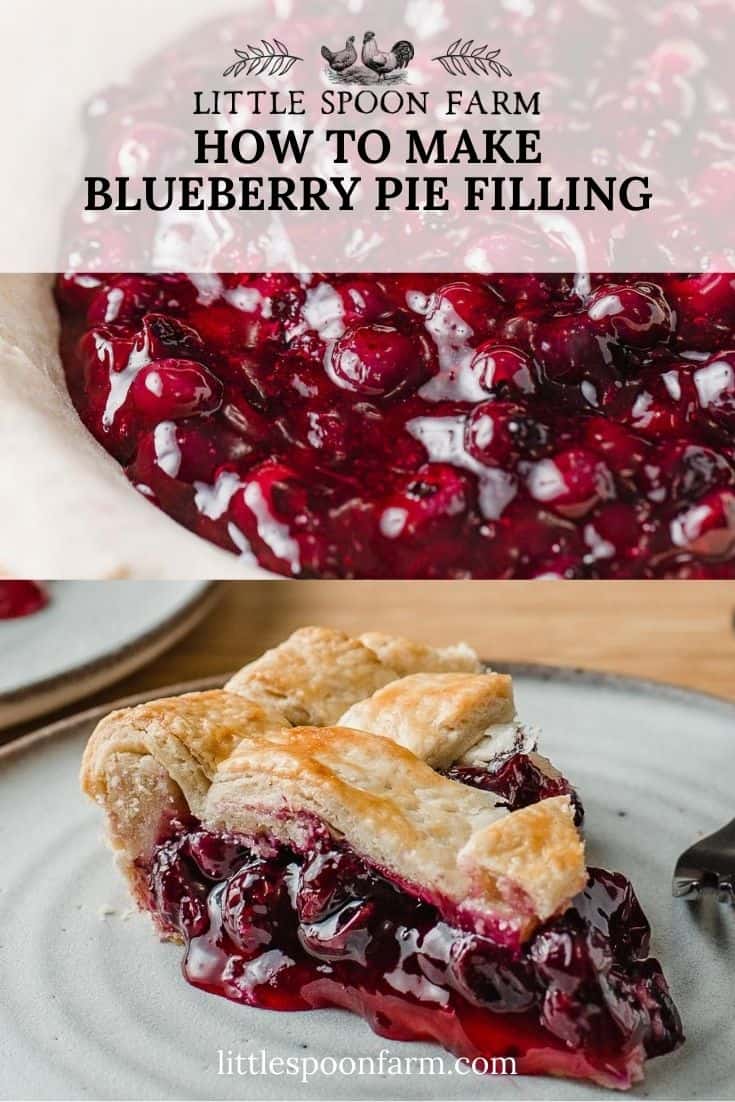 How To Can Blueberry Pie Filling Canning Recipe Little Spoon Farm