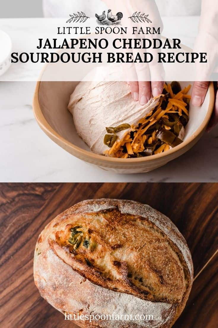 Jalapeño Cheddar Sourdough Bread Recipe Little Spoon Farm