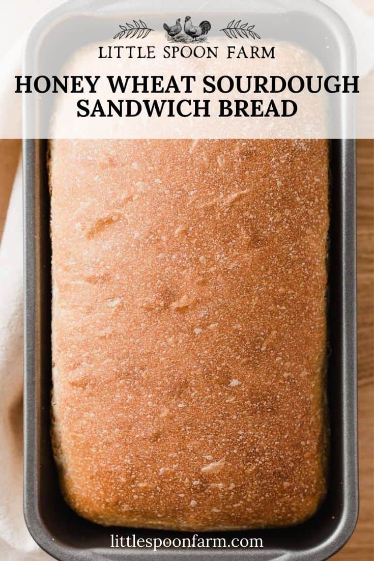 Honey Wheat Sourdough Sandwich Bread Little Spoon Farm
