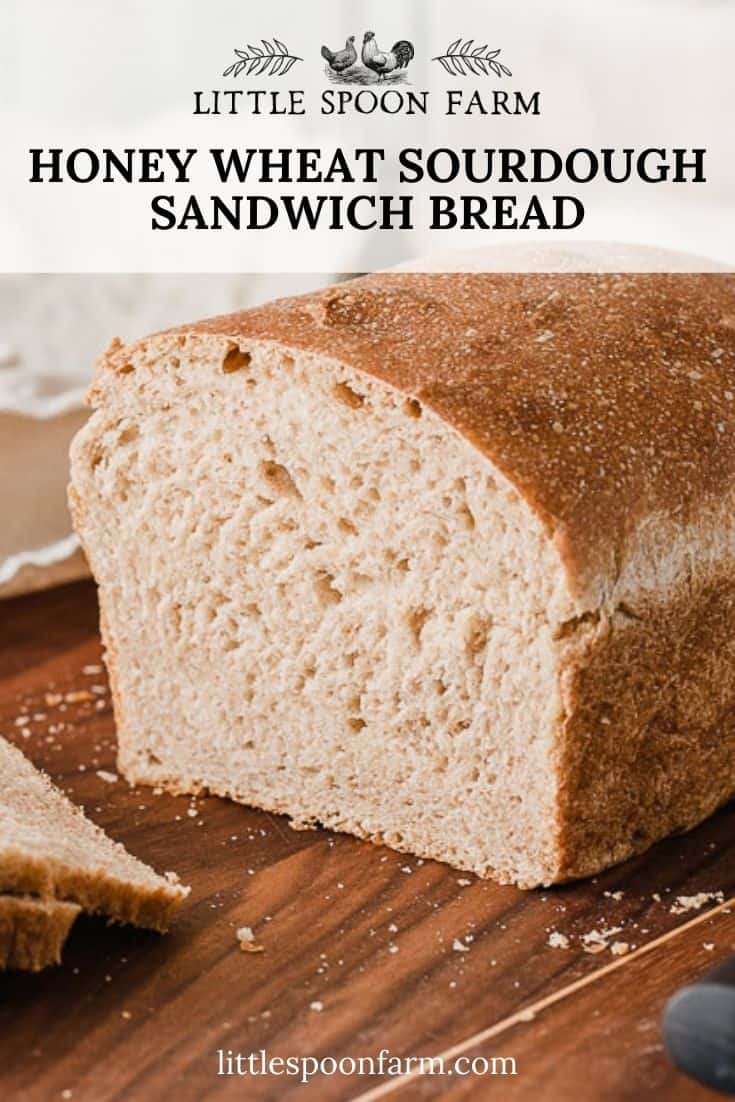 Honey Wheat Sourdough Sandwich Bread Little Spoon Farm
