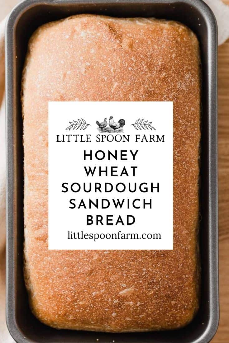 Honey Wheat Sourdough Sandwich Bread Little Spoon Farm