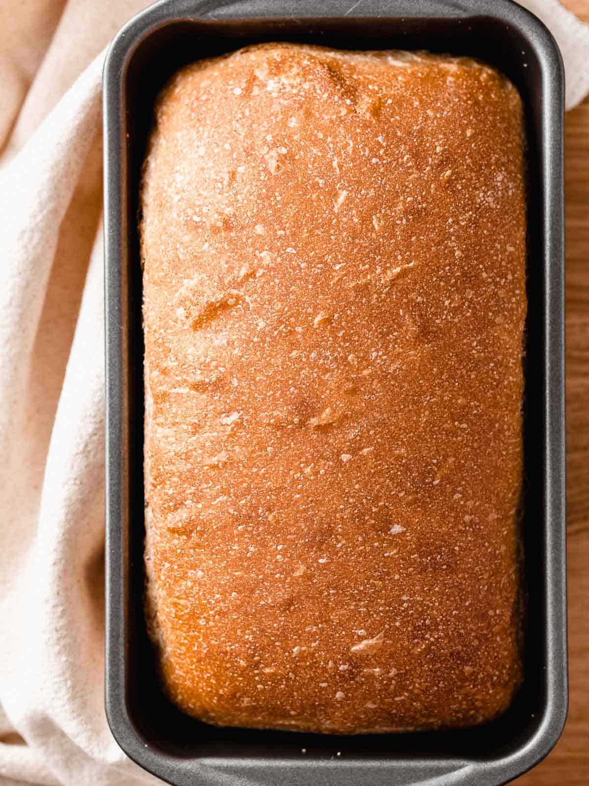 A baked loaf of bread in a loaf pan.