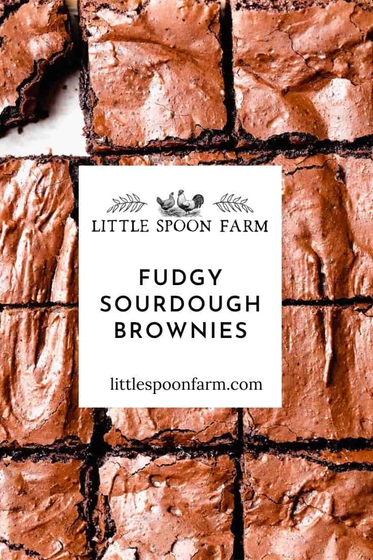 Sourdough Brownies (Discard Recipe) Little Spoon Farm