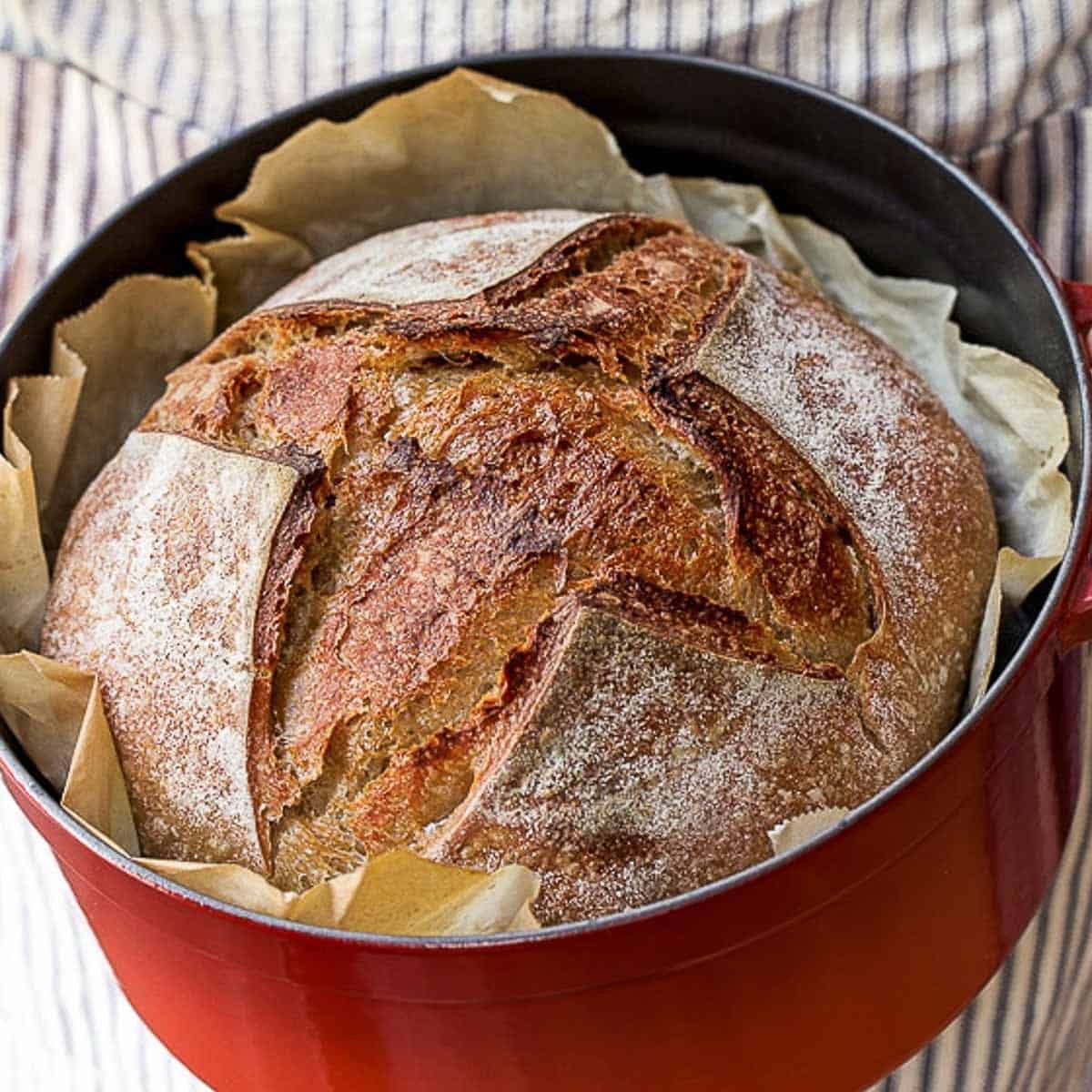 https://littlespoonfarm.com/wp-content/uploads/2021/01/beginner-sourdough-bread-recipe-1.jpg