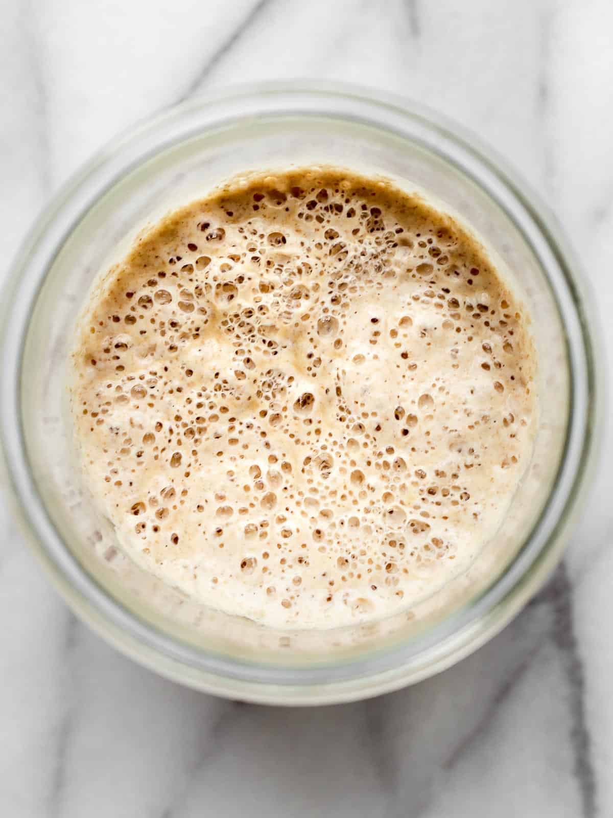 Sourdough starter with a light fluffy texture and lots of bubbles.