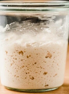 Gluten Free Sourdough Starter in a glass jar.
