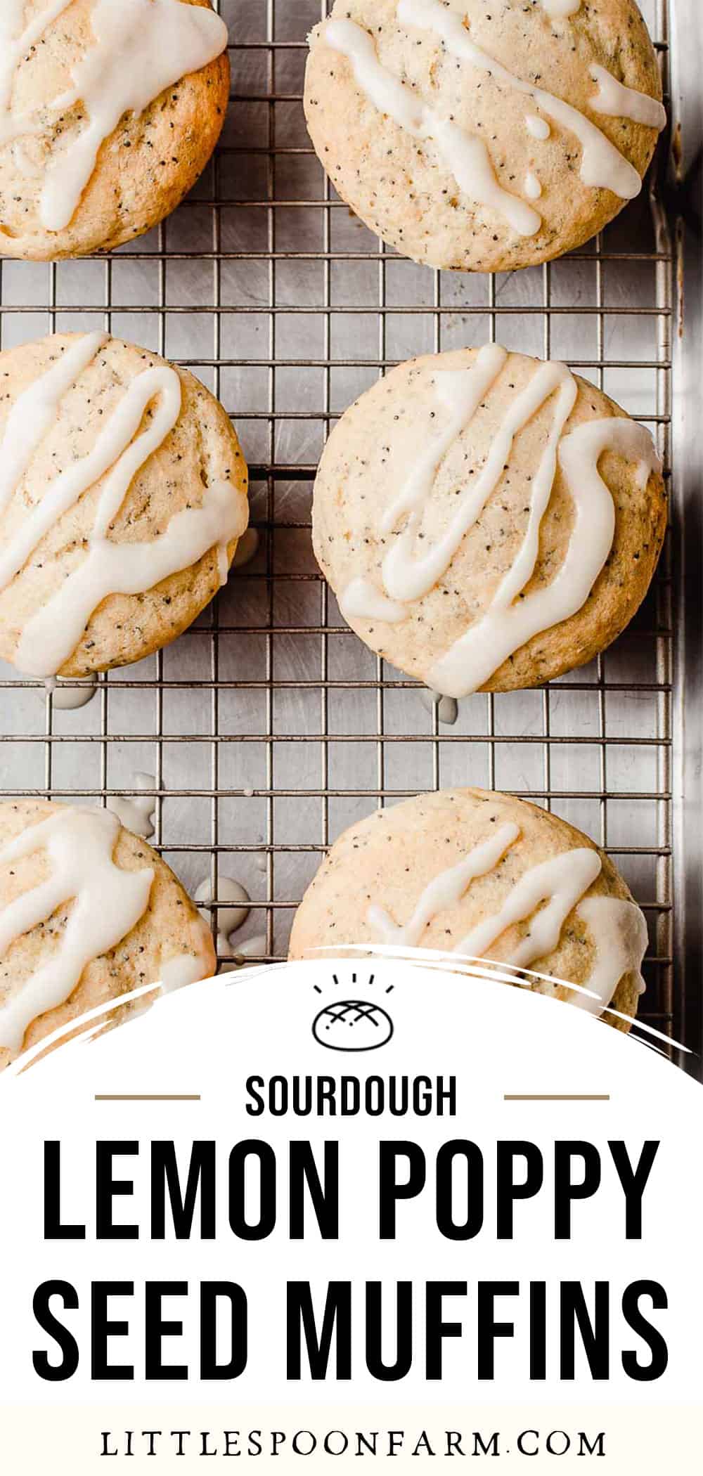 Lemon Poppy Seed Sourdough Muffins Recipe Little Spoon Farm lemon-poppy-seed-sourdough-muffins-recipe-little-spoon-farm