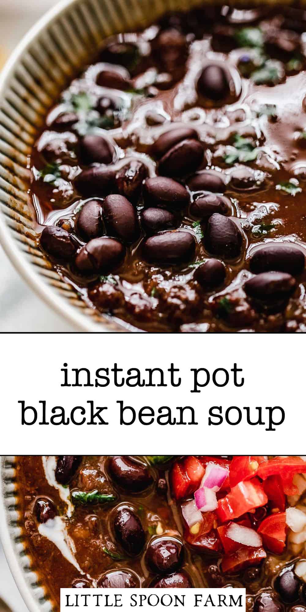 Instant Pot Black Bean Soup Recipe Little Spoon Farm