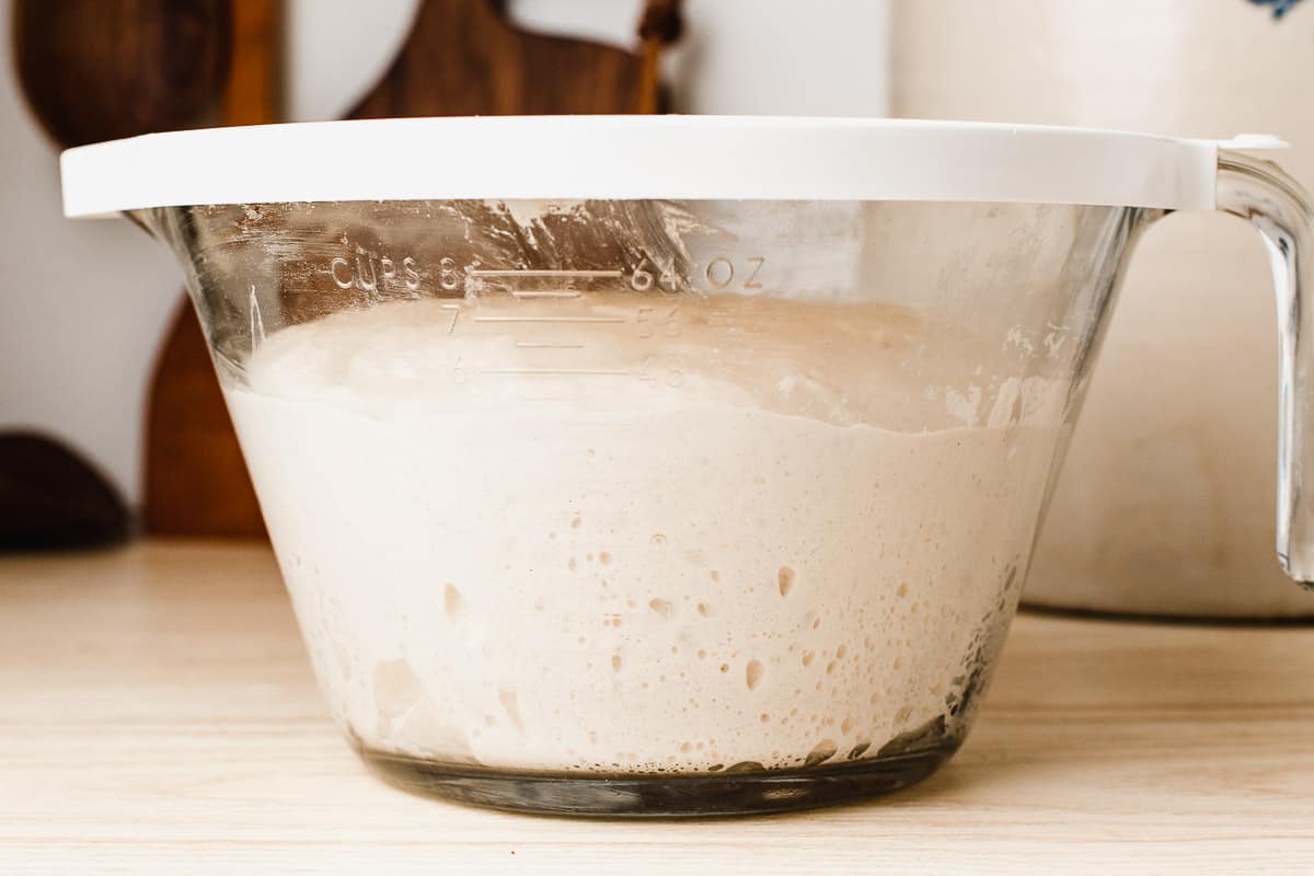 Sourdough ciabatta dough after it has risen 50 percent.