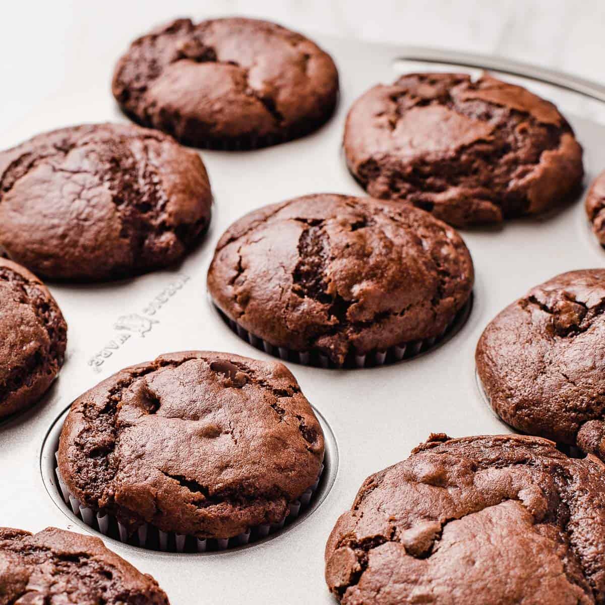 Double chocolate sourdough muffins in a muffin tin.