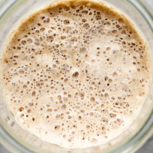 Easy Sourdough Starter Recipe for Beginners Little Spoon Farm