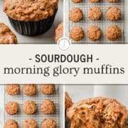 Four photos of sourdough morning glory muffins in a collage.