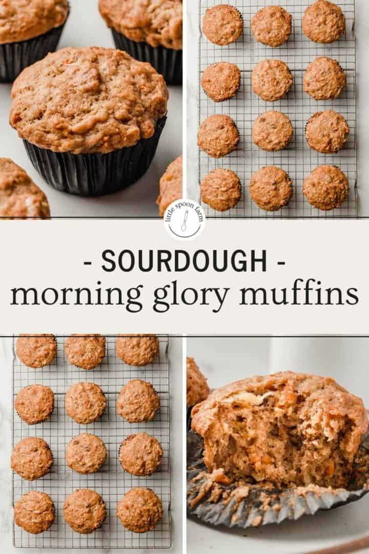 Four photos of sourdough morning glory muffins in a collage.