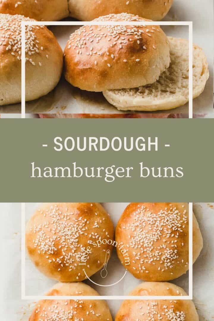 Sourdough hamburger buns on a baking sheet.