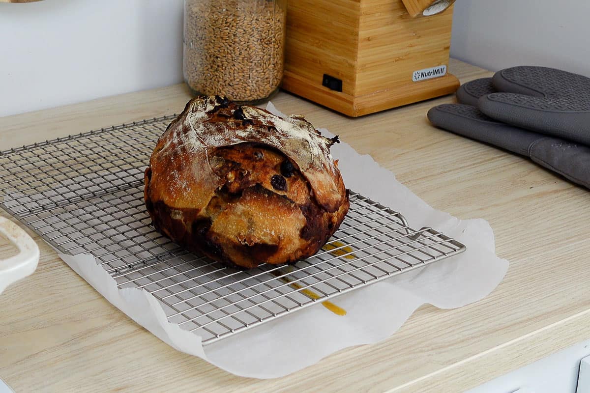 Baked cinnamon raisin sourdough bread cooling on a rack.