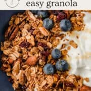 A bowl of yogurt with granola and blueberries.