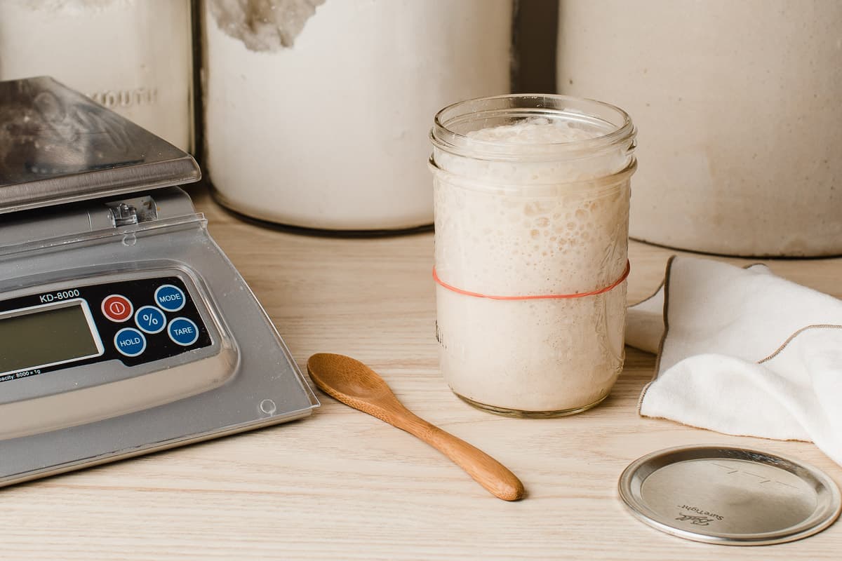 A jar of sourdough starter next to a kitchen scale and spoon and a lid.