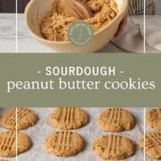 Sourdough peanut butter cookies on a baking sheet.