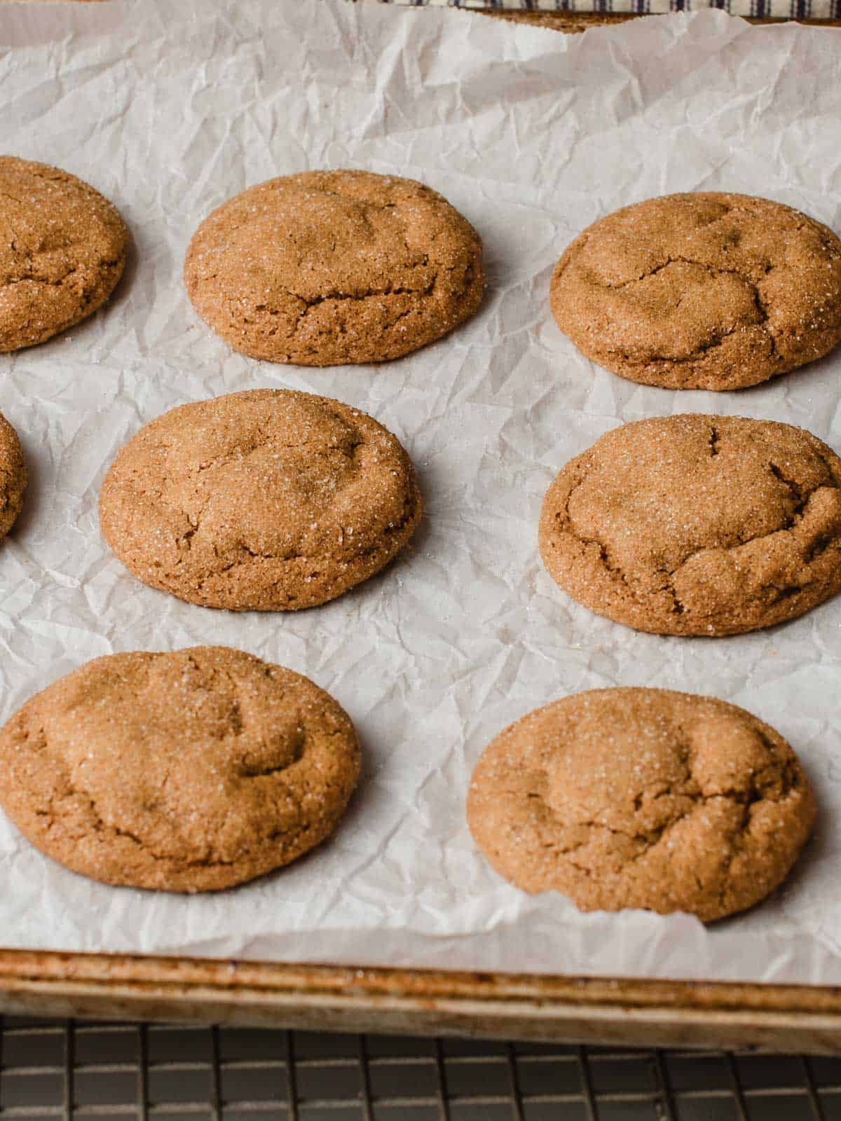Sourdough ginger molasses cookies on parchment paper.