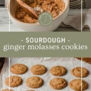 sourdough ginger molasses cookies