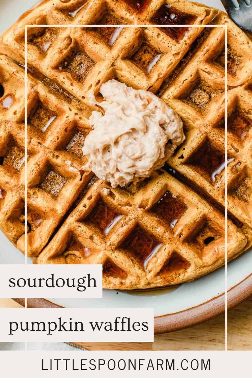 Sourdough Pumpkin Waffles Little Spoon Farm