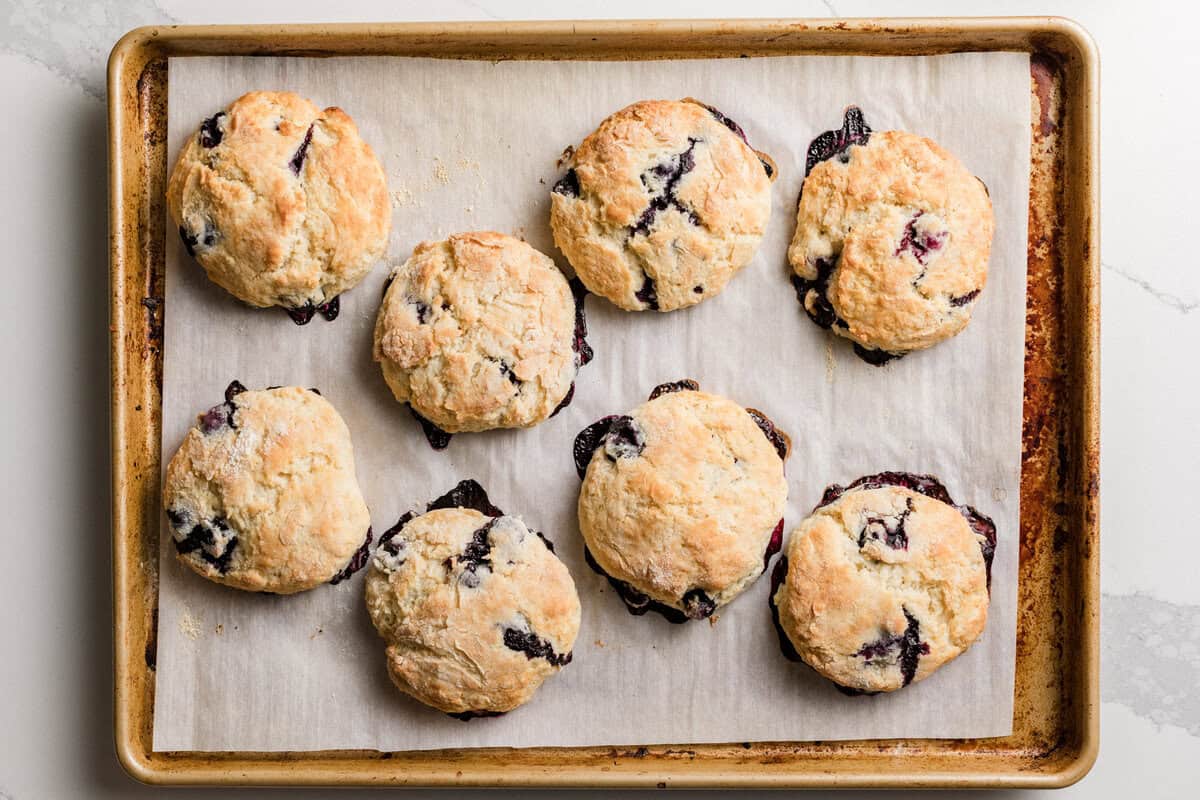 Baked Sourdough Blueberry Biscuits on a baking sheet.