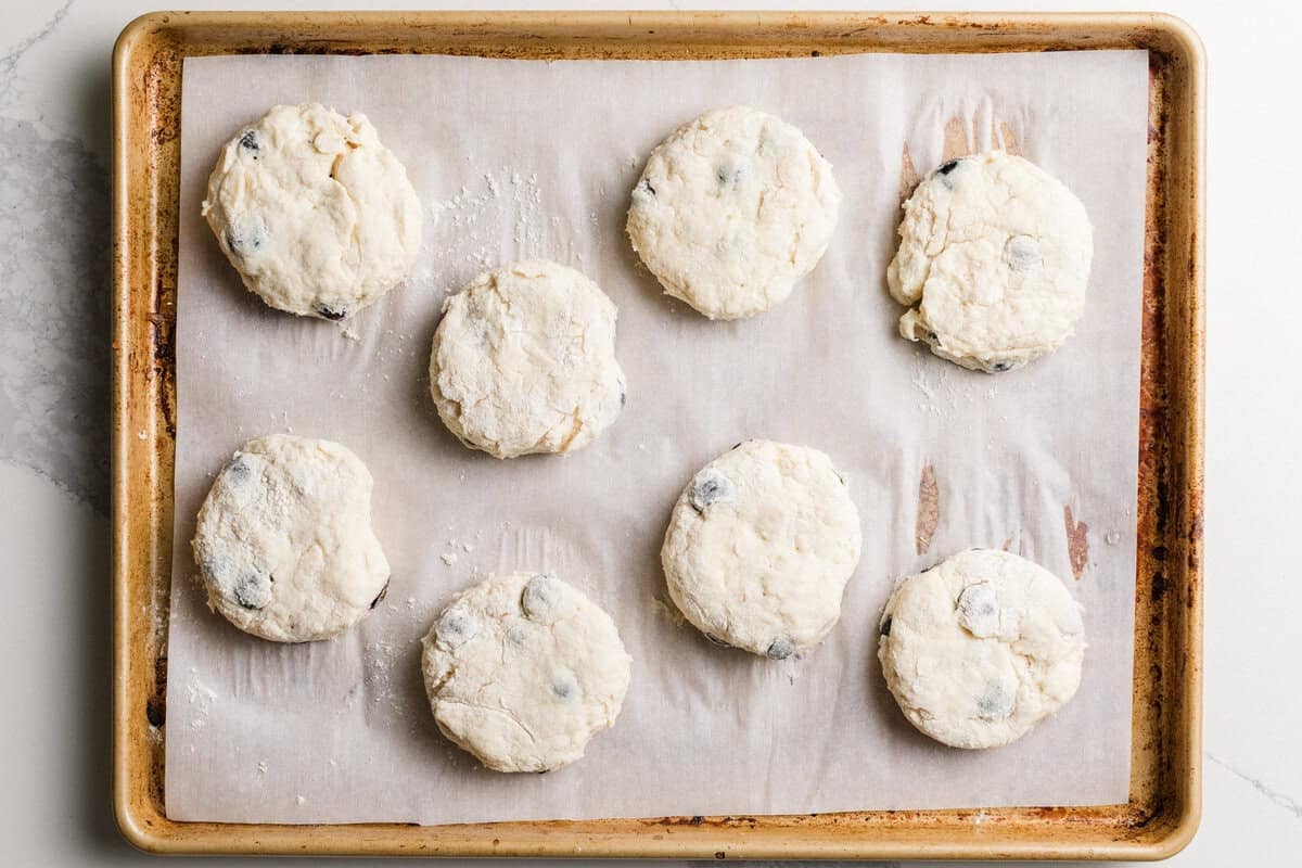 Cut out Sourdough Blueberry Biscuits dough on a baking sheet.