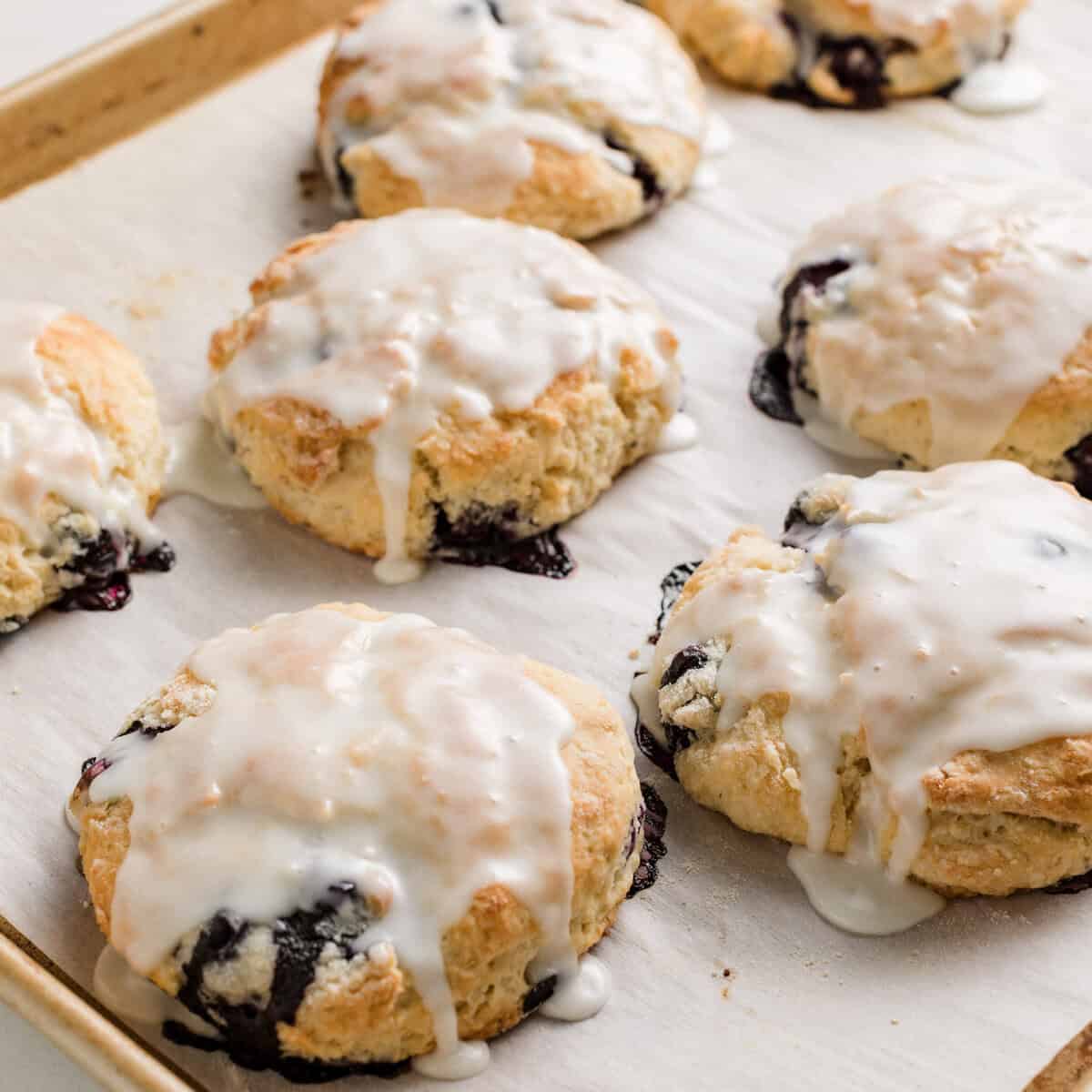 Sourdough Blueberry Biscuits recipe.