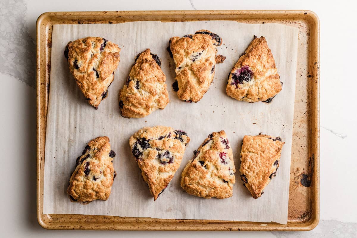 Sourdough lemon blueberry scones baked on a baking sheet.