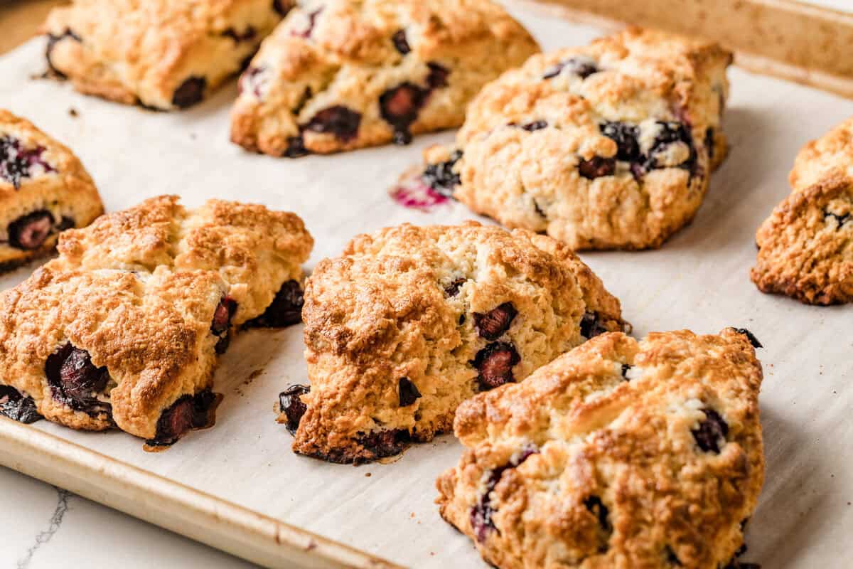 Sourdough lemon blueberry scones baked on a parchment lined baking sheet.
